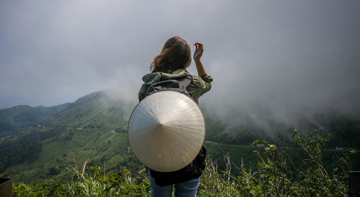Forest Escapes in Vietnam