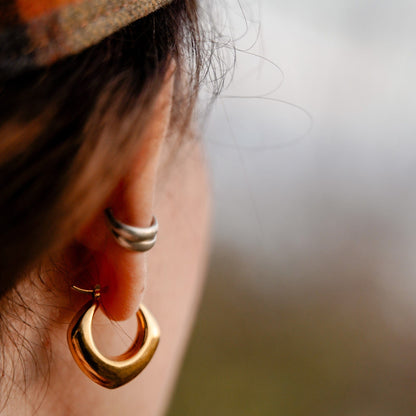 Aureate Elegance Earrings