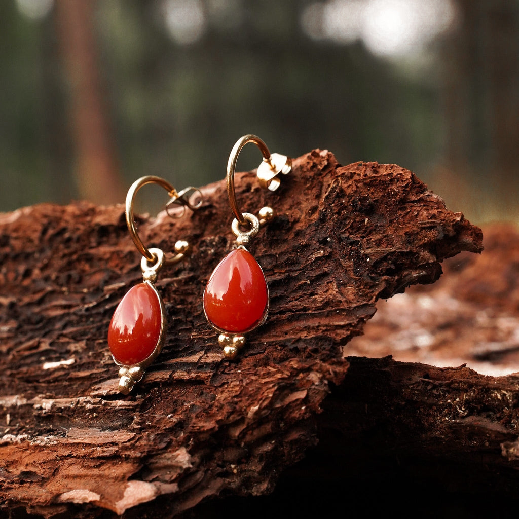 Earrings Sundra Earrings