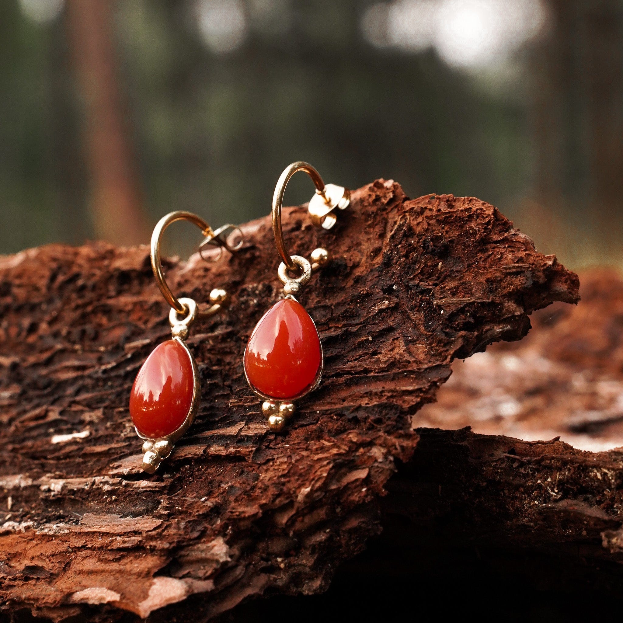 Earrings Sundra Earrings