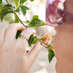 Rings Sunbreak Ring
