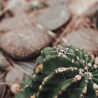 Rings Watcher Ring